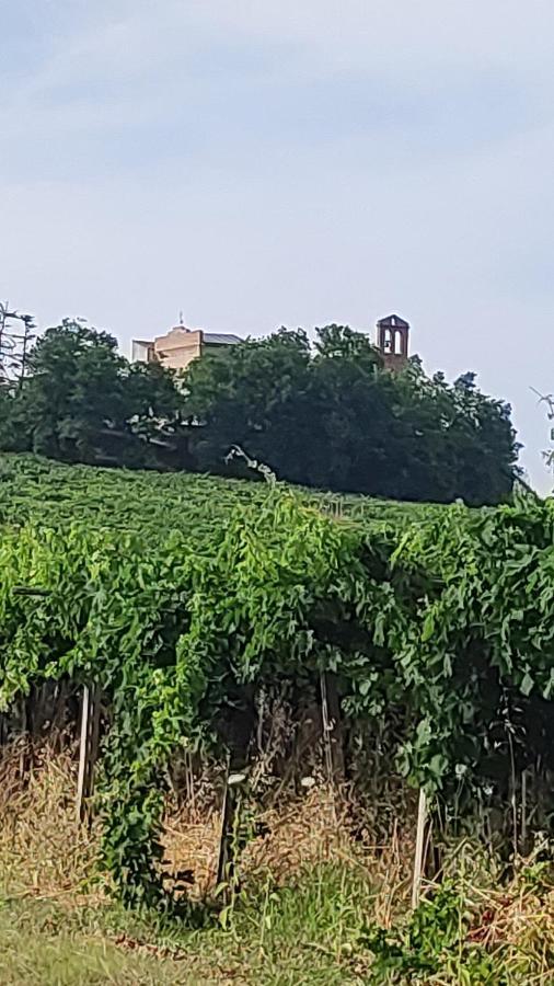 B&B I Tre Ulivi Morro dʼOro Buitenkant foto