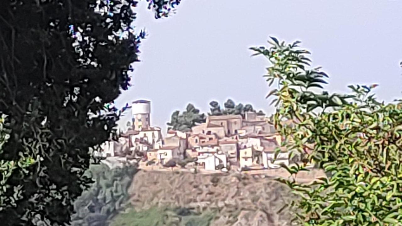 B&B I Tre Ulivi Morro dʼOro Buitenkant foto