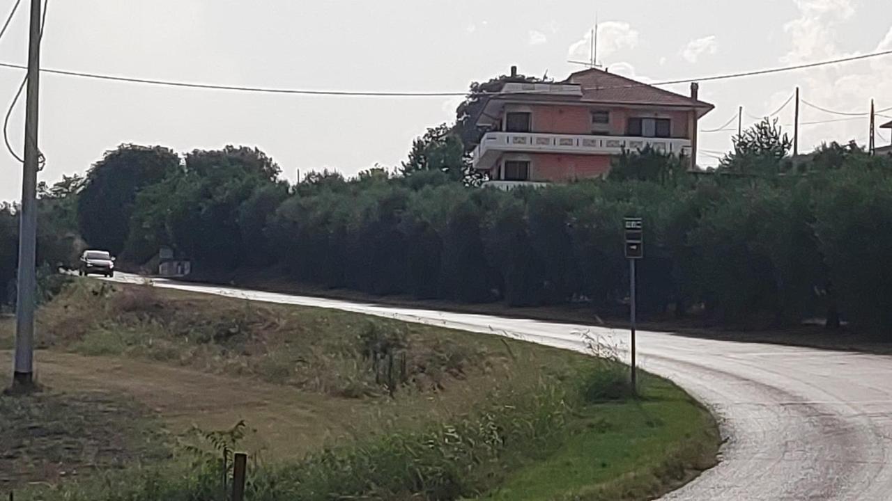B&B I Tre Ulivi Morro dʼOro Buitenkant foto