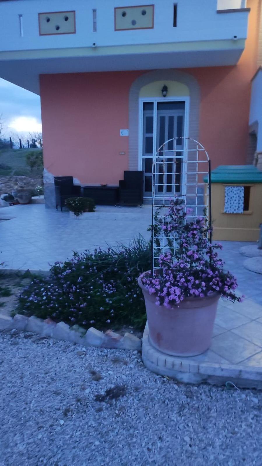 B&B I Tre Ulivi Morro dʼOro Buitenkant foto