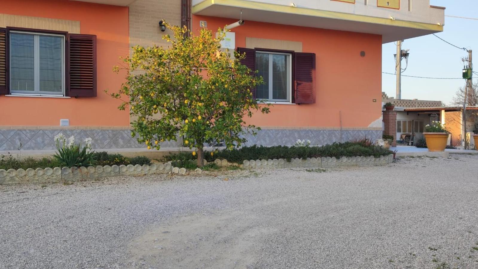B&B I Tre Ulivi Morro dʼOro Buitenkant foto