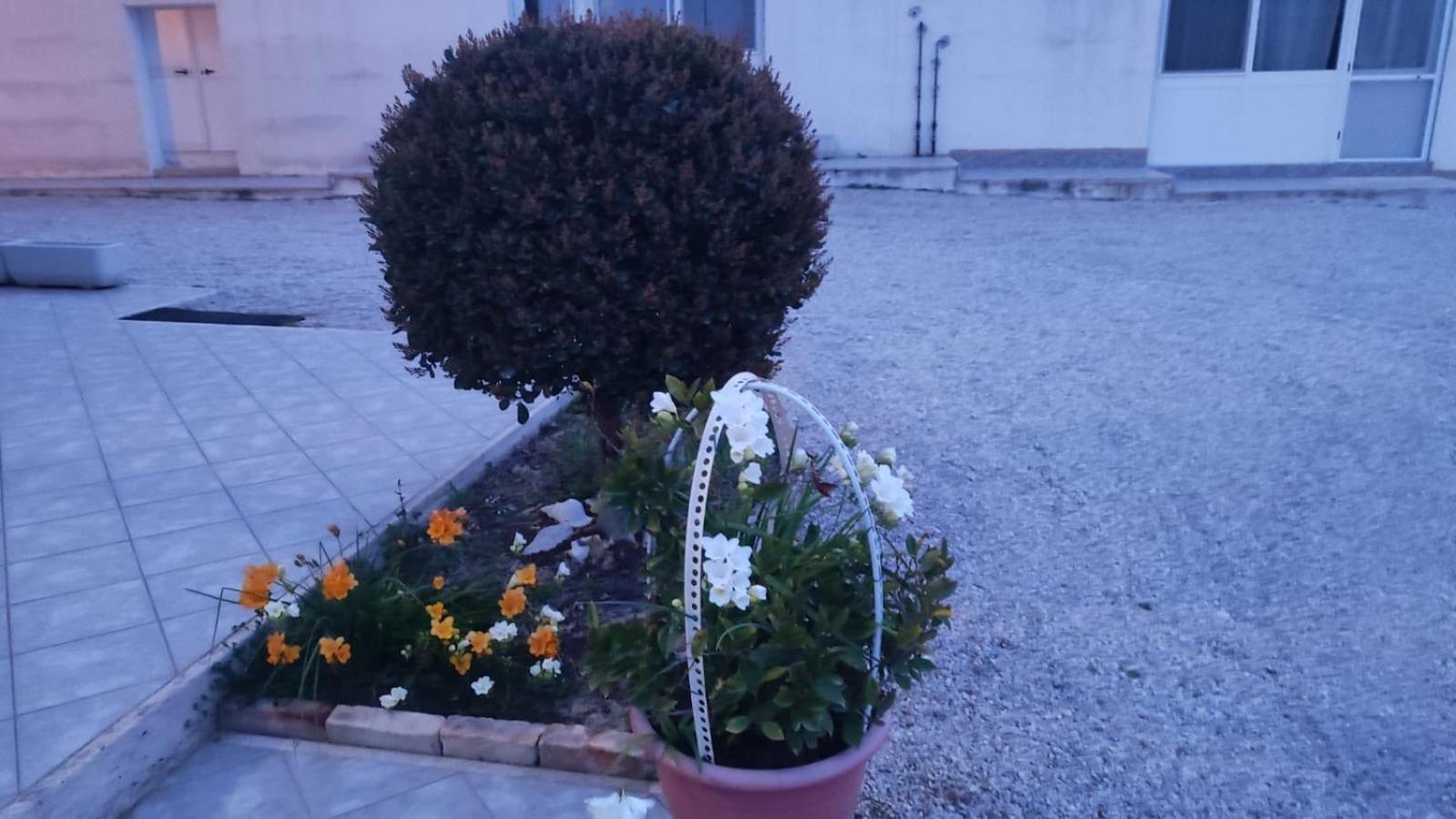 B&B I Tre Ulivi Morro dʼOro Buitenkant foto